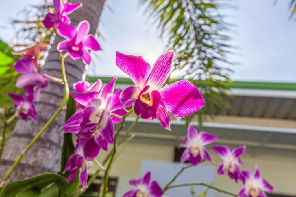 Oyo 450 Rawai Studios Resort Exterior photo